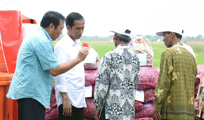 Sinergi Aksi Ekonomi Rakyat Diluncurkan Jokowi di Sentra Bawang Brebes